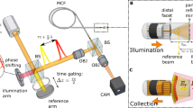 Quantitative phase imaging endoscopy with a metalens