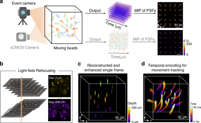 Ultra-fast light-field microscopy with event detection