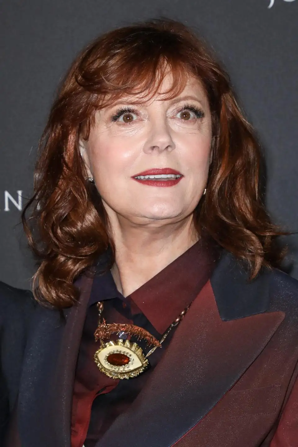 Susan Sarandon Dropped By Her Talent Agency Amid Pro-Palestine Support