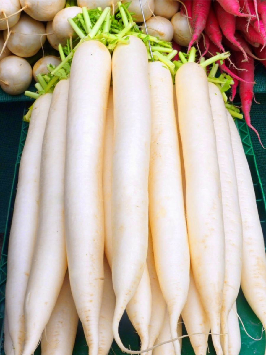 Mooli benefits: 8 healthy reasons to consume 1 radish every day​