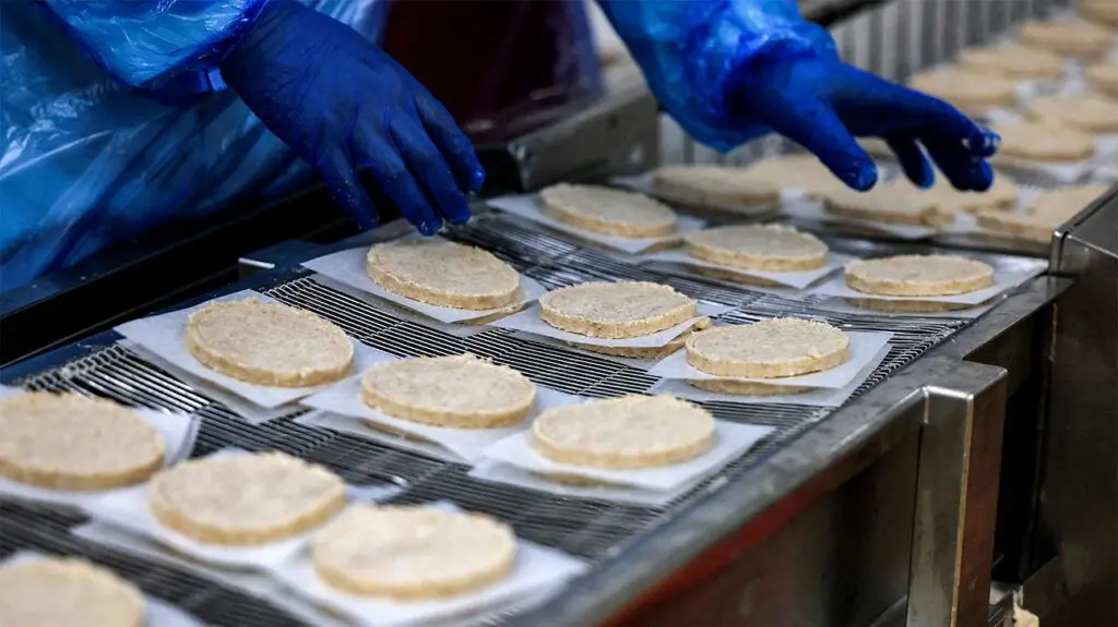 burger patties on factory line