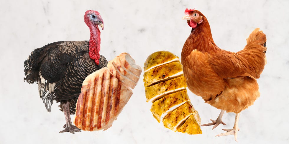 Is Turkey Healthier Than Chicken? Dietitians Settle The Debate