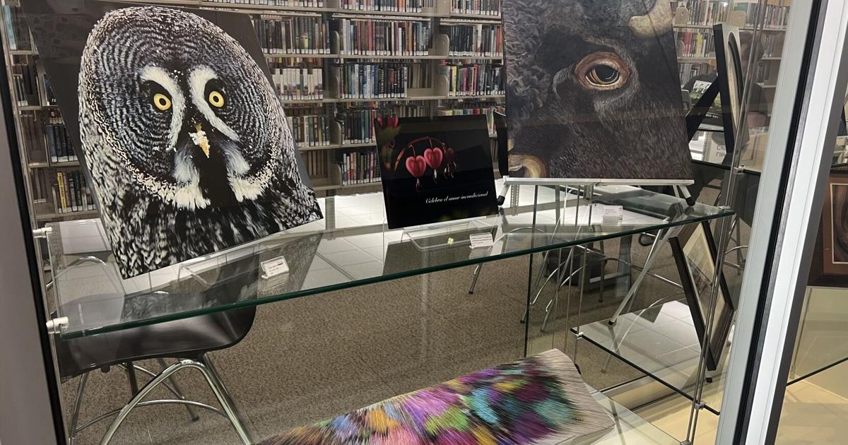 Art defies age: Look at art made by seniors at the library