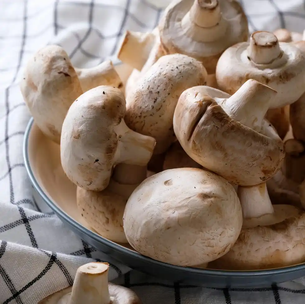 a bunch of whole raw fresh mushrooms in a plate, on a white table or background mushrooms are like vegetable protein the concept of vegetarian and vegan food and diet veganism and vegetarianism cooking at home or in a restaurant