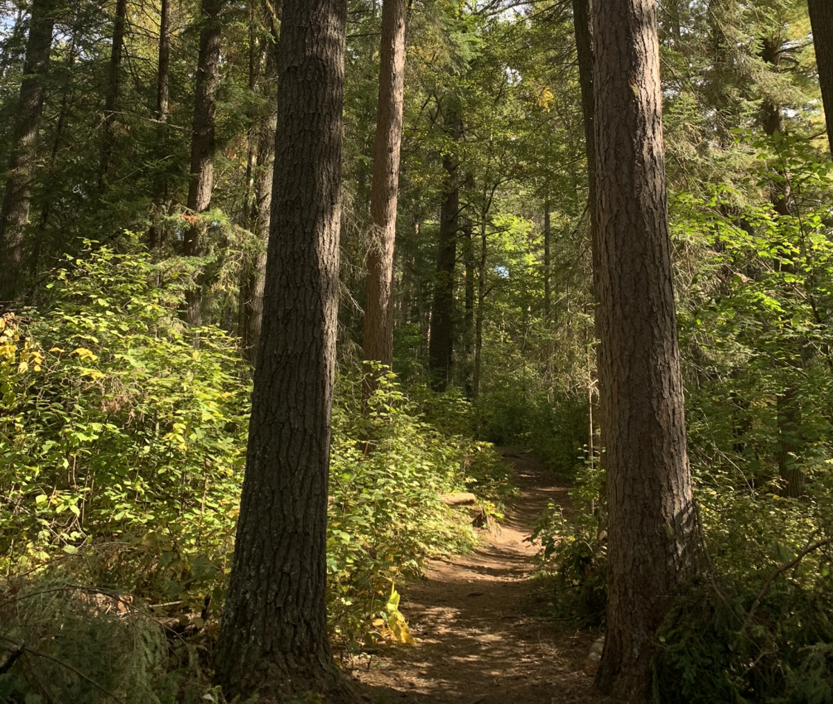 Minnesotans overwhelmingly vote to continue funding environmental conservation