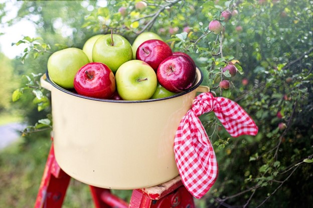 Enjoy the Health Benefits of Seasonal Apples