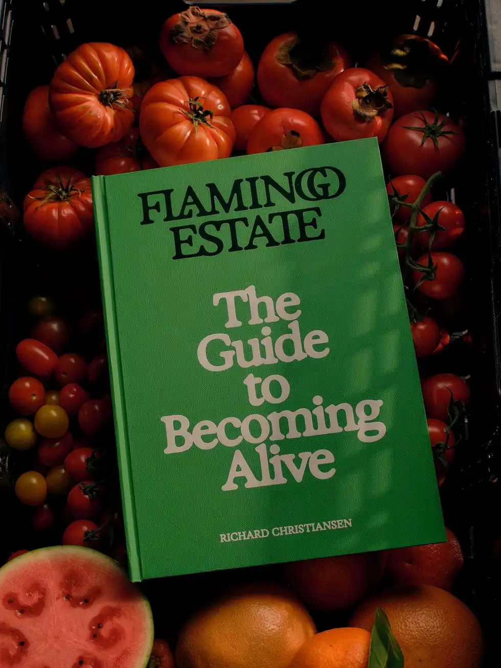 Flamingo Estate: The Guide to Becoming Alive