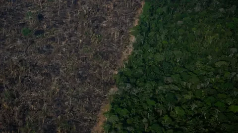 Getty Images Aerial view showing a deforested area of the Amazonia rainforest