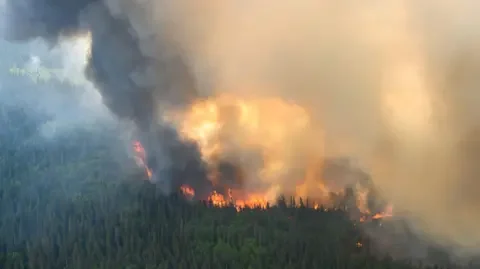 Reuters Flames reach upwards along the edge of a wildfire