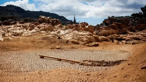 Getty Images A dried out dam is pictured on a farm