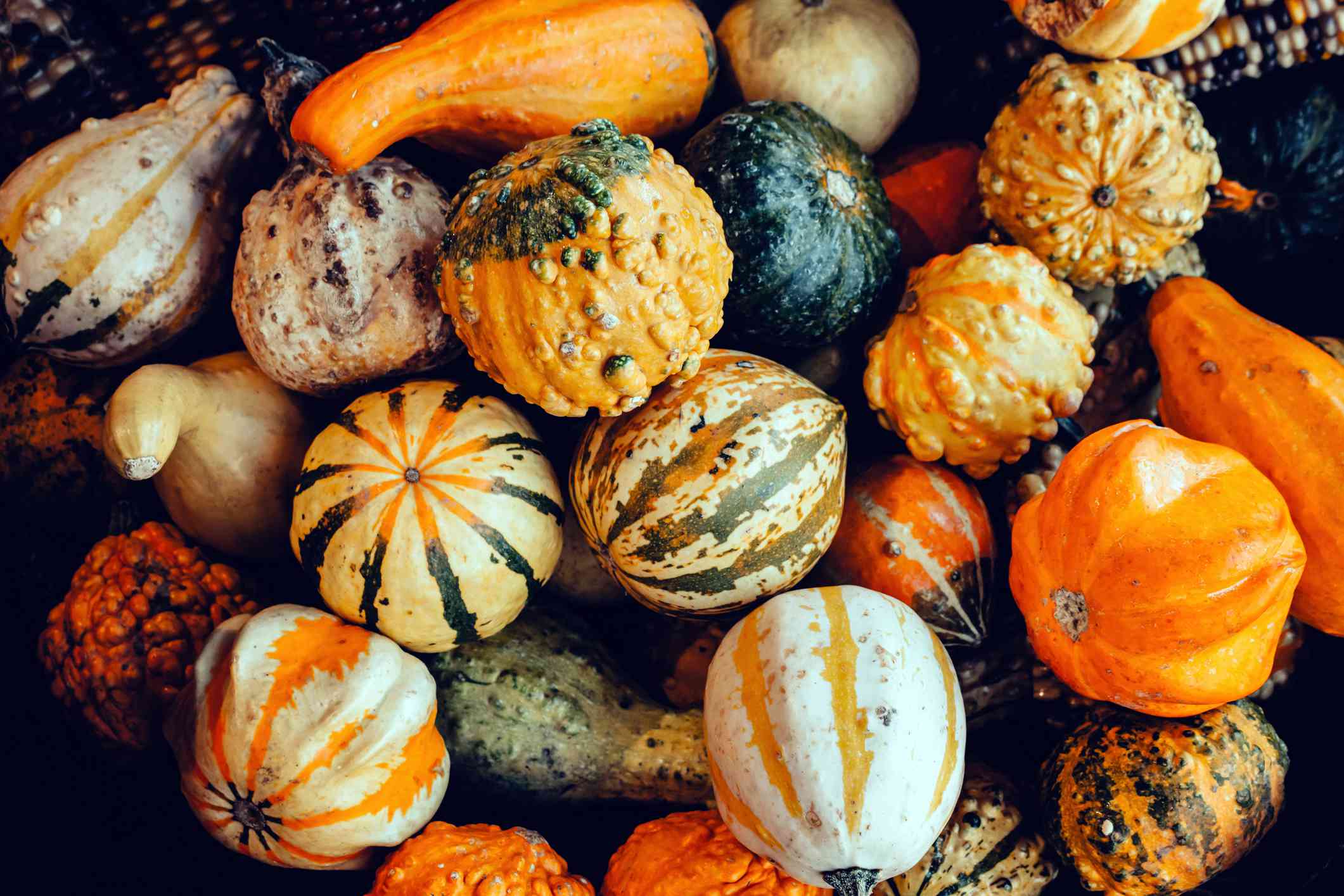 Want Healthier Winter Meals? Here Are 10 Squash Varieties You Need to Try