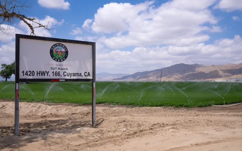 Cuyama Farm Linked to Multistate ‘E. coli’ Outbreak, Carrot Recall