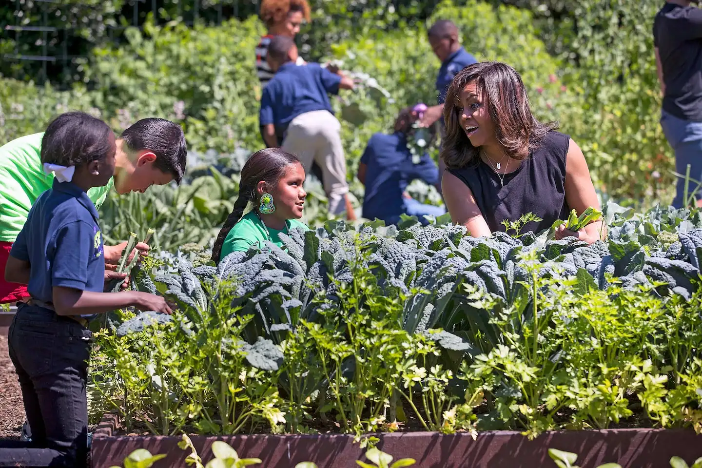 Michelle Obama, then the first lady, picked vegetables with students from across the country in the White House Kitchen Garden in 2016.