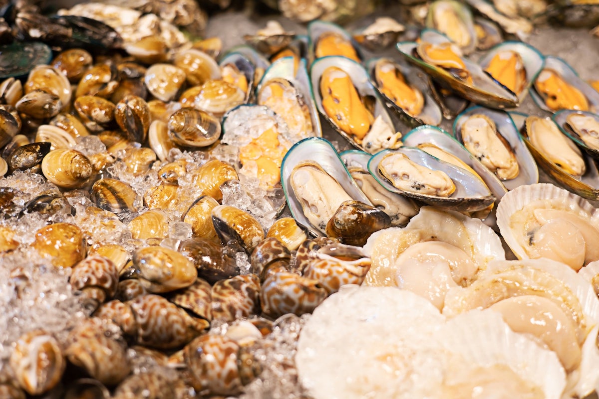 Shellfish good for nutrition, environment