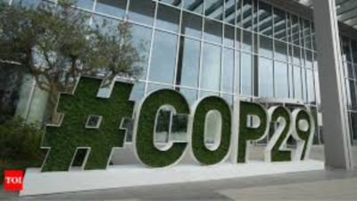 COP29: Climate talks face tough negotiations over finance goal, new text offers no progress