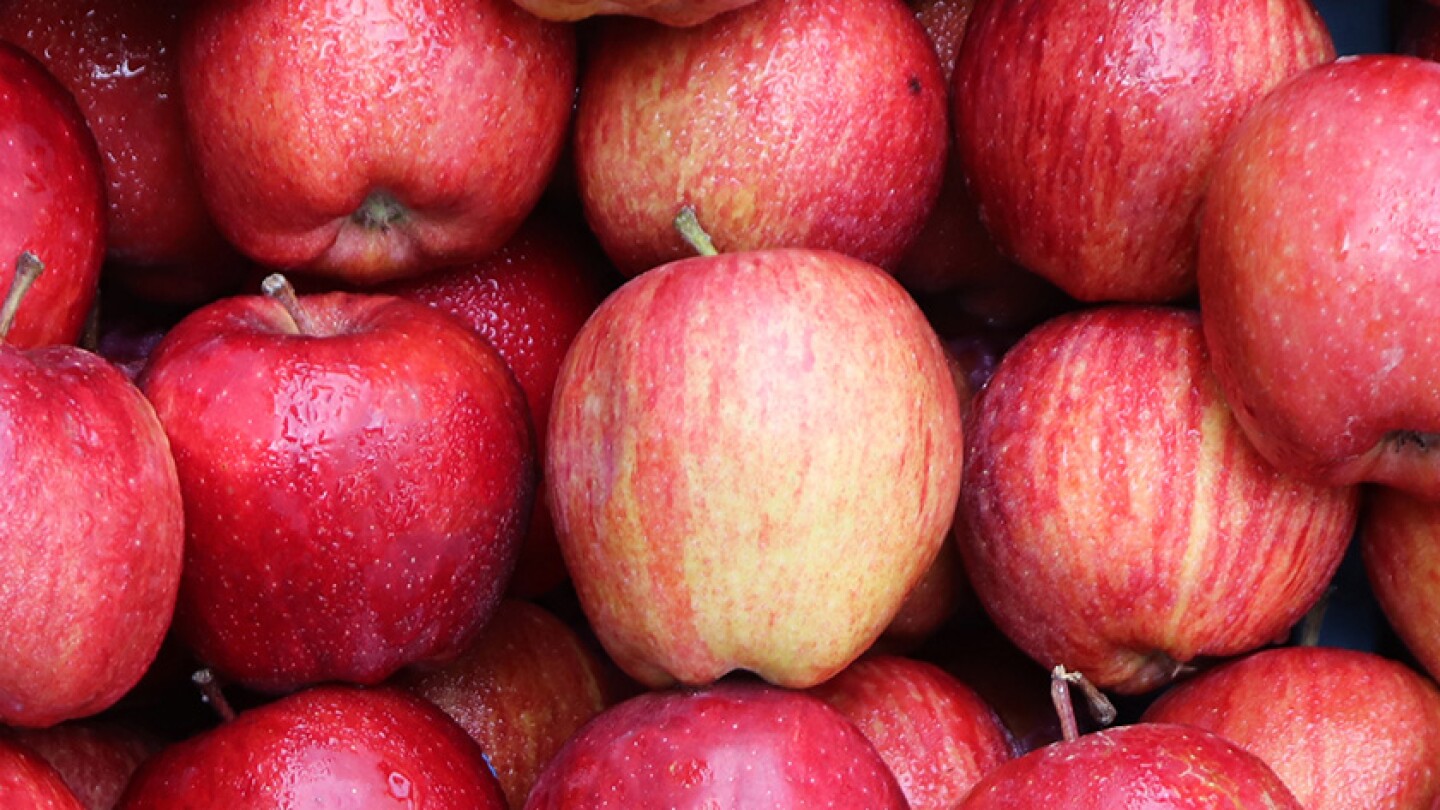 USDA details fresh apple purchase for nutrition programs