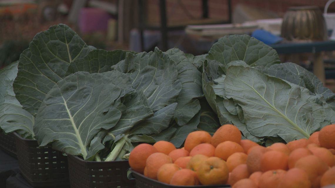 CMS program aims to improve education and access to healthy food