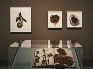 Irving Penn Exhibition MOP Foundation A Coruña Spain