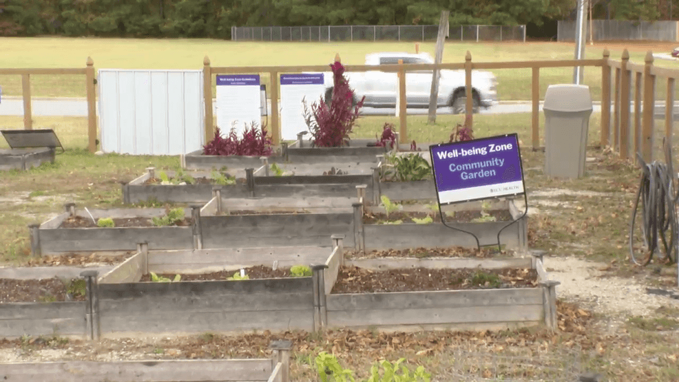 Fall Harvest Event at ECU Health Beaufort Hospital offers fresh produce and health tips