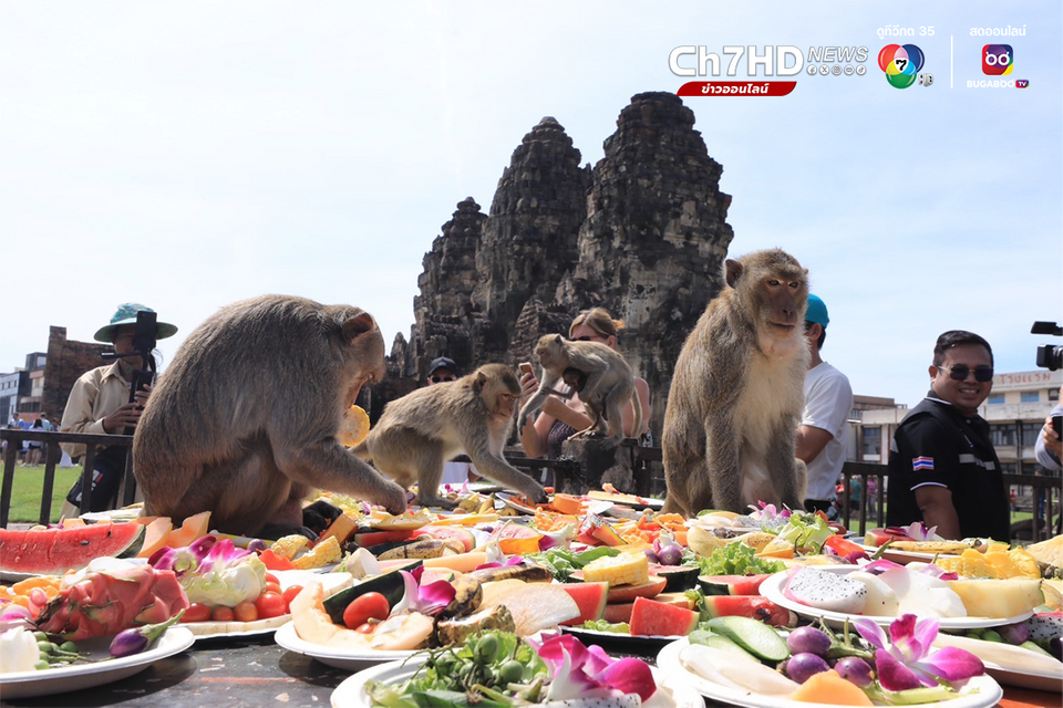 ข่าวจ๋ออิ่มแปล้ ! โต๊ะจีนลิง ‘ลพบุรี’ จัดยิ่งใหญ่ เสิร์ฟอาหาร 2 ตัน