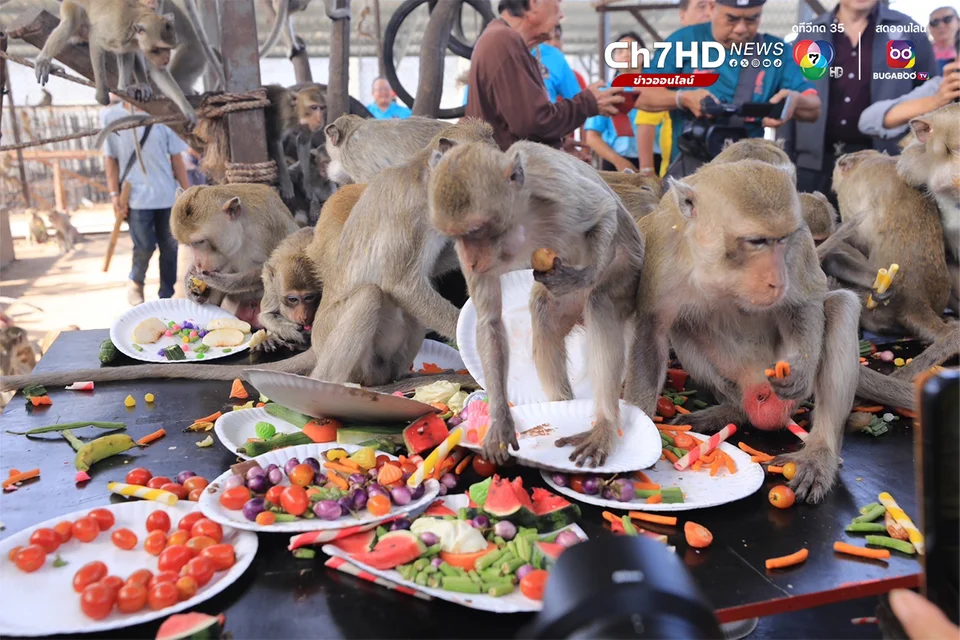 โต๊ะจีนลิงลพบุรี