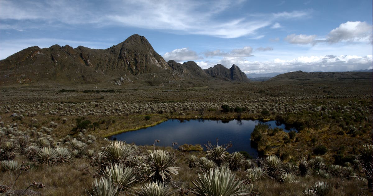 Green Climate Fund to Support Development of Conservation International Initiative to Transform Water Security in Bogotá