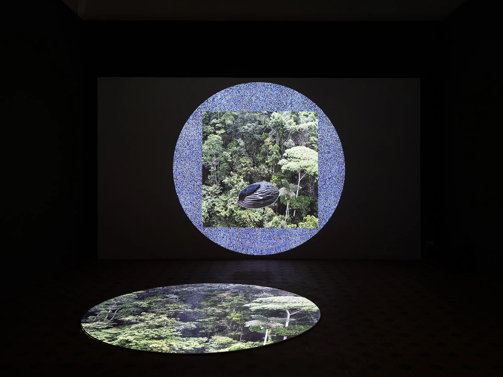 Installation view of Time as a Mother, 2023, Ursula Biemann, curated by Ravi Agarwal and Damian Christinger, Serendipity Arts Festival 2023 | Time as a Mother | Serendipity Arts Festival | Ursula Biemann | STIRworld