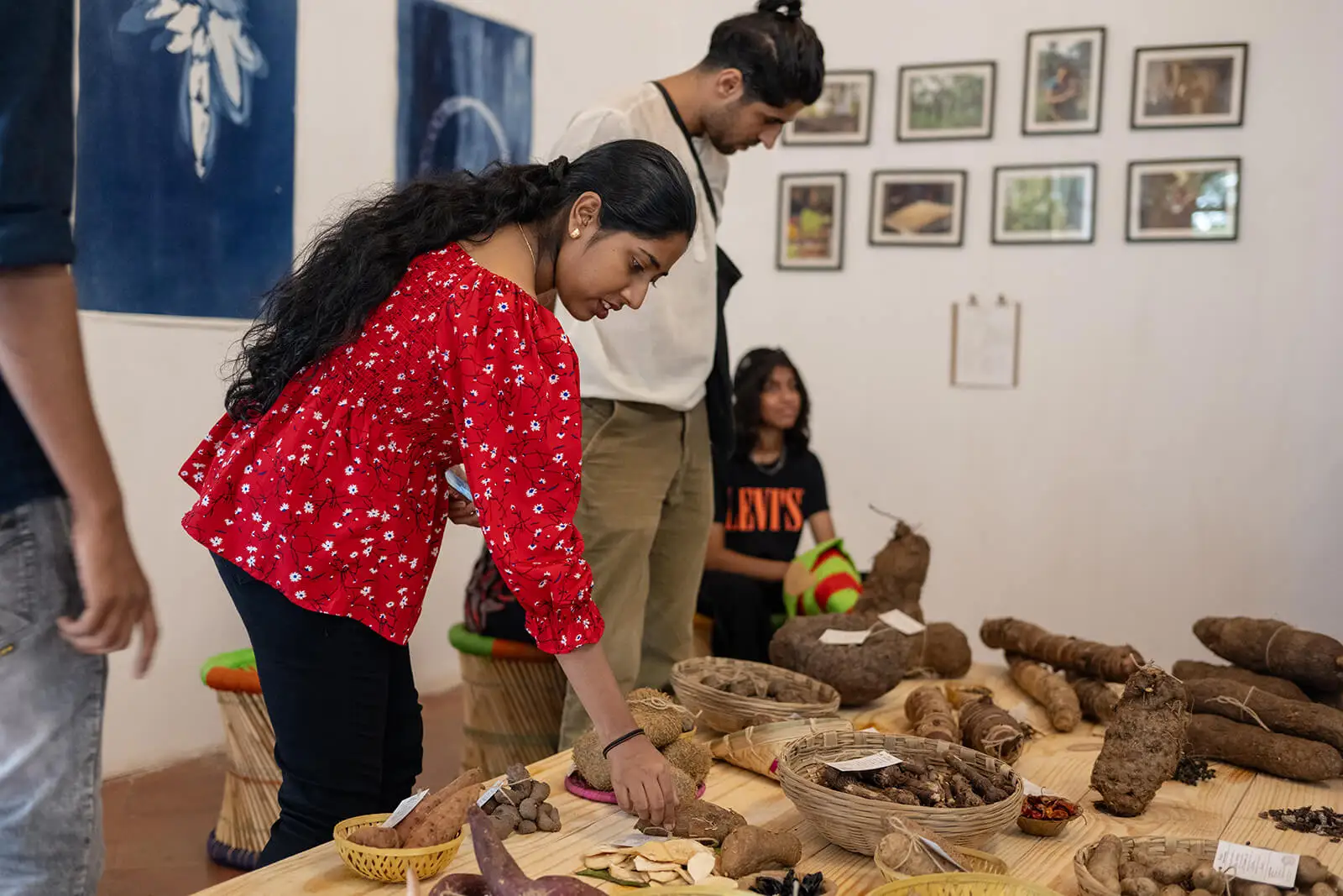 Exhibition view of Roots to Resilience, 2023, curated by Edible Issues - Elizabeth Yorke and Anusha Murthy, Serendipity Arts Festival 2023 | Roots to Resilience | Serendipity Arts Festival | STIRworld