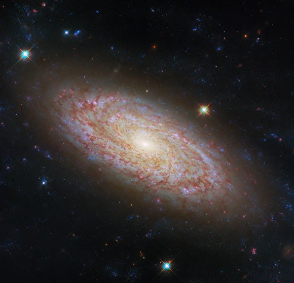 Hubble Space Telescope Looks at Flocculent Spiral: NGC 2090