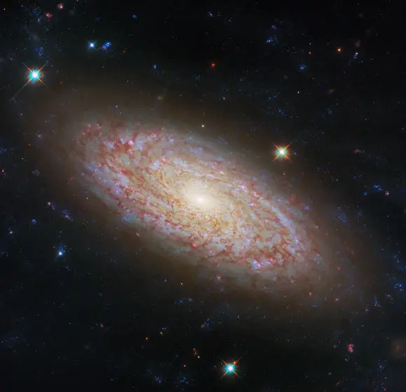 This Hubble image shows NGC 2090, a spiral galaxy some 40 million light-years away in the southern constellation of Columba. The color image was made from separate exposures taken in the ultraviolet, visible and near-infrared regions of the spectrum with Hubble’s Wide Field Camera 3 (WFC3). It is based on data obtained through six filters. The color results from assigning different hues to each monochromatic image associated with an individual filter. Image credit: NASA / ESA / Hubble / D. Thilker.