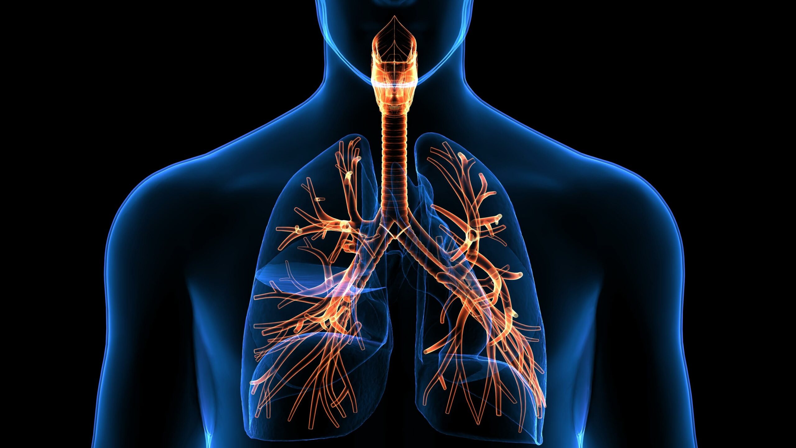 CRC Incidence Risk Associated With Changes in Cardiorespiratory Fitness