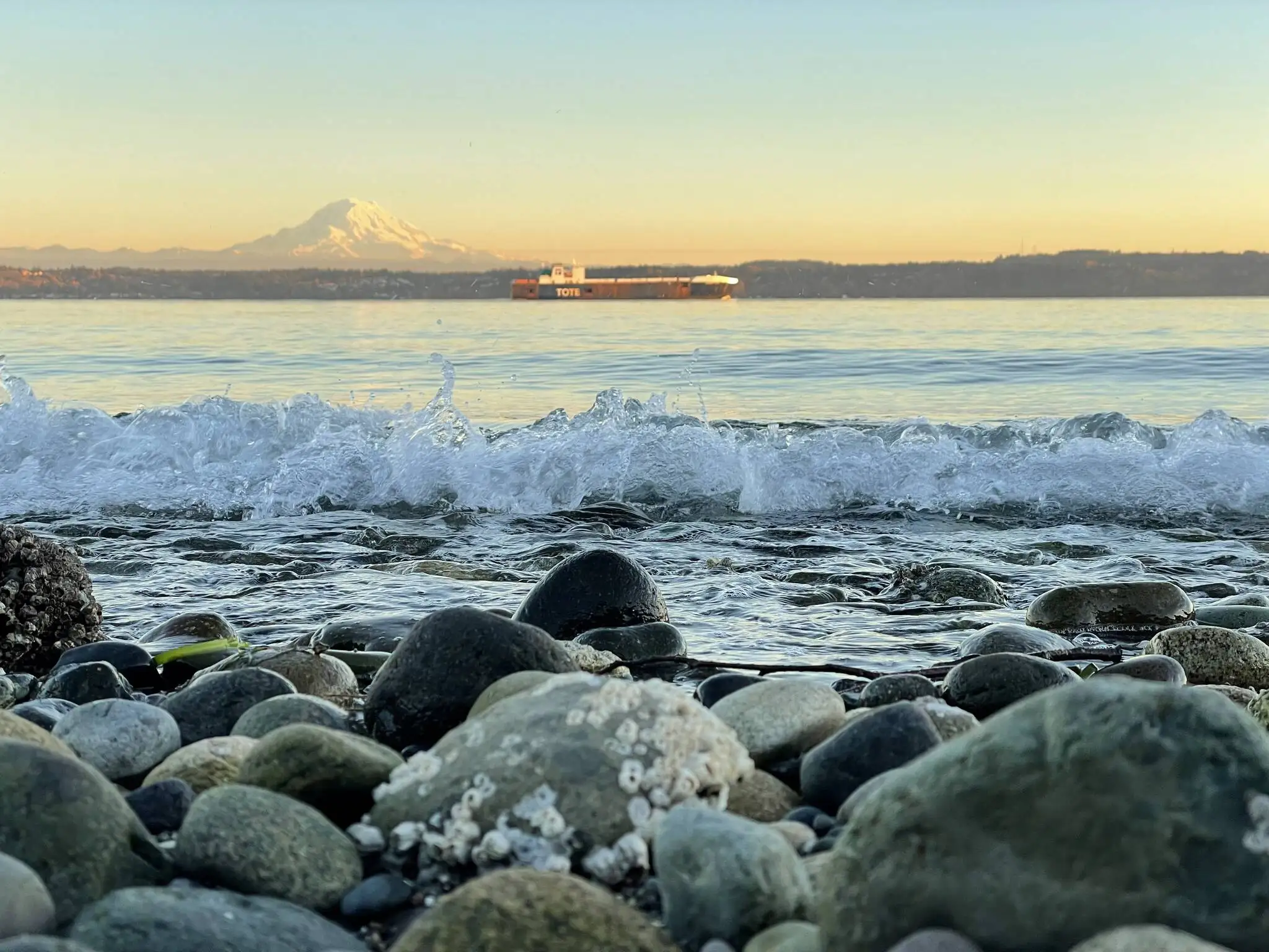 Pugs Eye View, Dockton Forest, a photograph by Corrine Sherry, is part of an exhibit of photography at Vashon Library. (Courtesy photo)