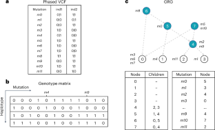 Enabling efficient analysis of biobank-scale data with genotype representation graphs