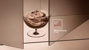 ‘Mocha Mousse’ is Pantone’s 2025 Color of the Year