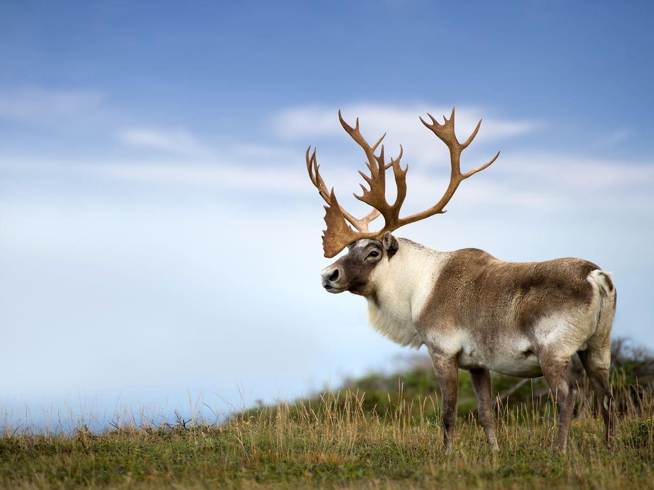 Golden conservation: Calibre environment leaders rendezvous to discuss achievements and goals