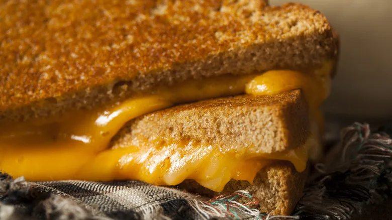 grilled cheese sandwich with freshly melted cheese