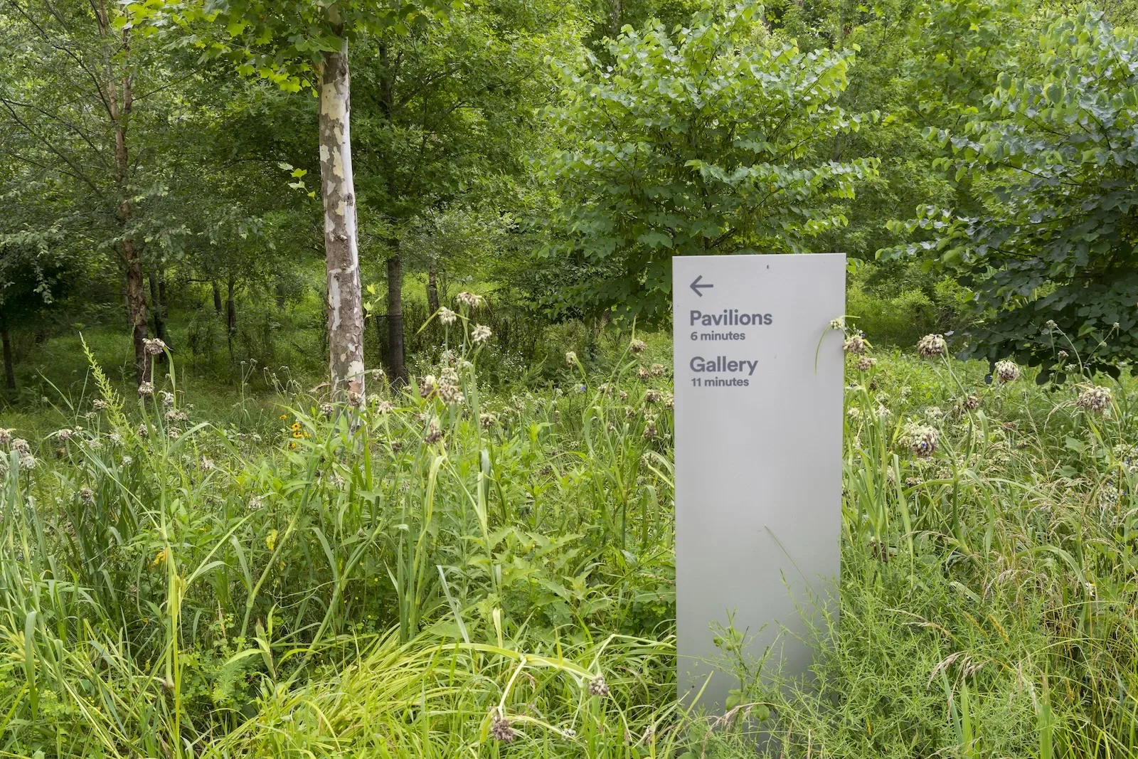 A lush landscape with tall grasses, many trees and in the center, a stone marker with words, “Pavillions” and “Gallery” carved in with how many minutes away they are. 