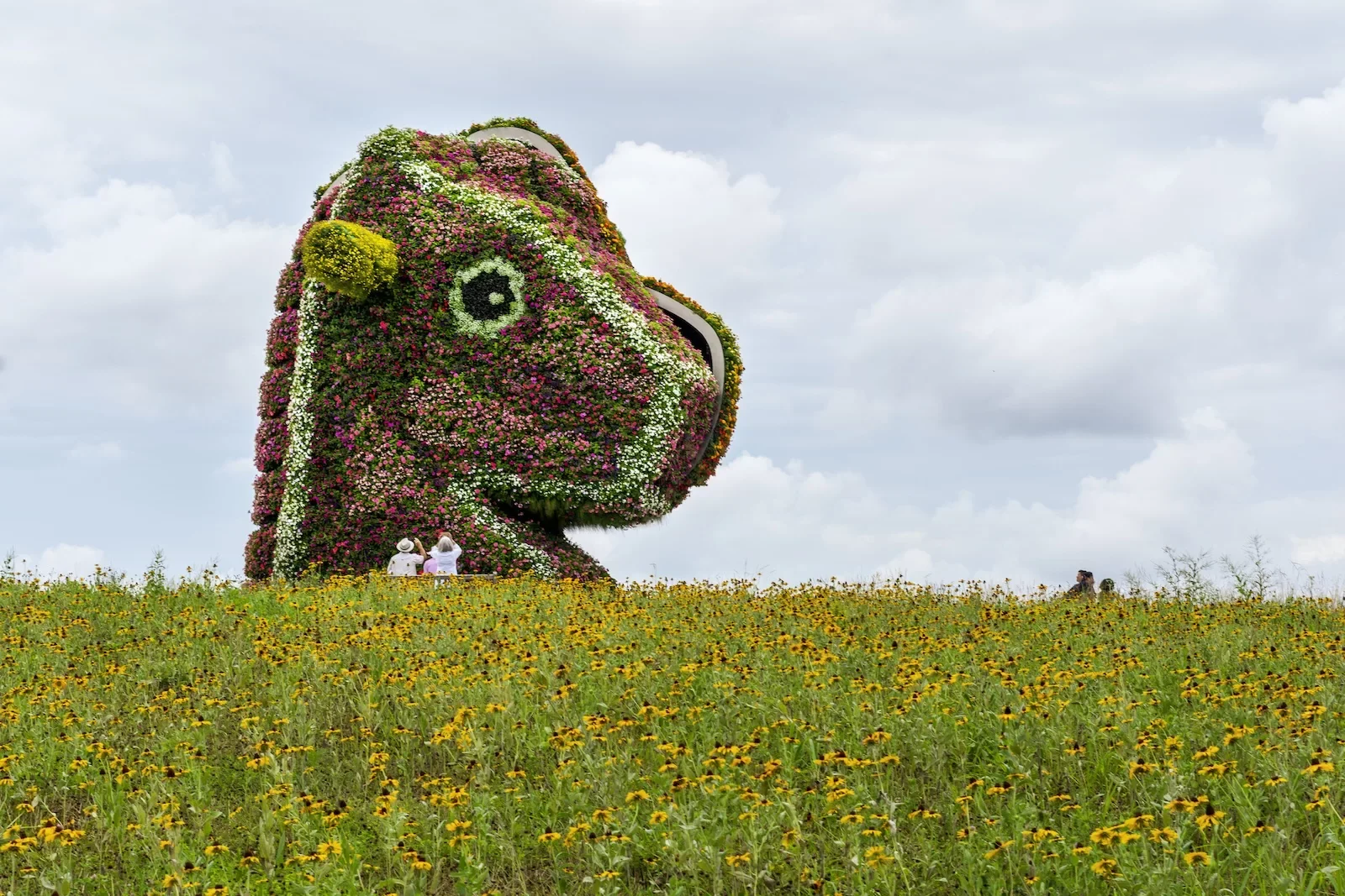 A field of yellow flowers, black eyed Susans, sits in front of a large sculpture of a child’s toy horse rocker, that is made with flowers in pinks, yellows and whites.