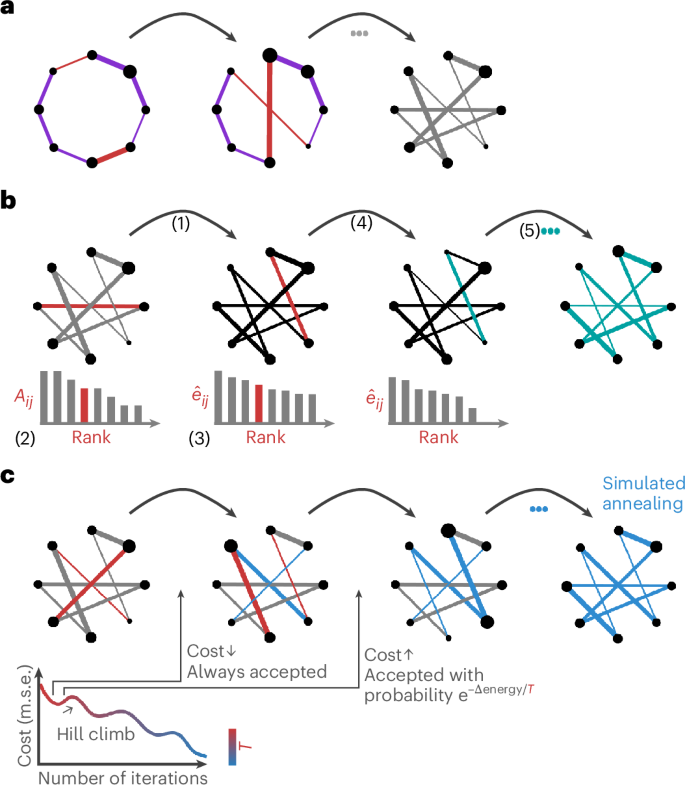 A simulated annealing algorithm for randomizing weighted networks