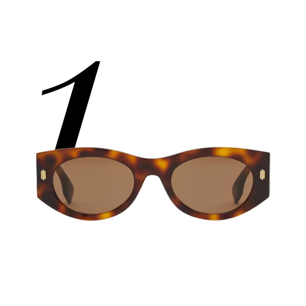 Fendi Roma Havana acetate sunglasses