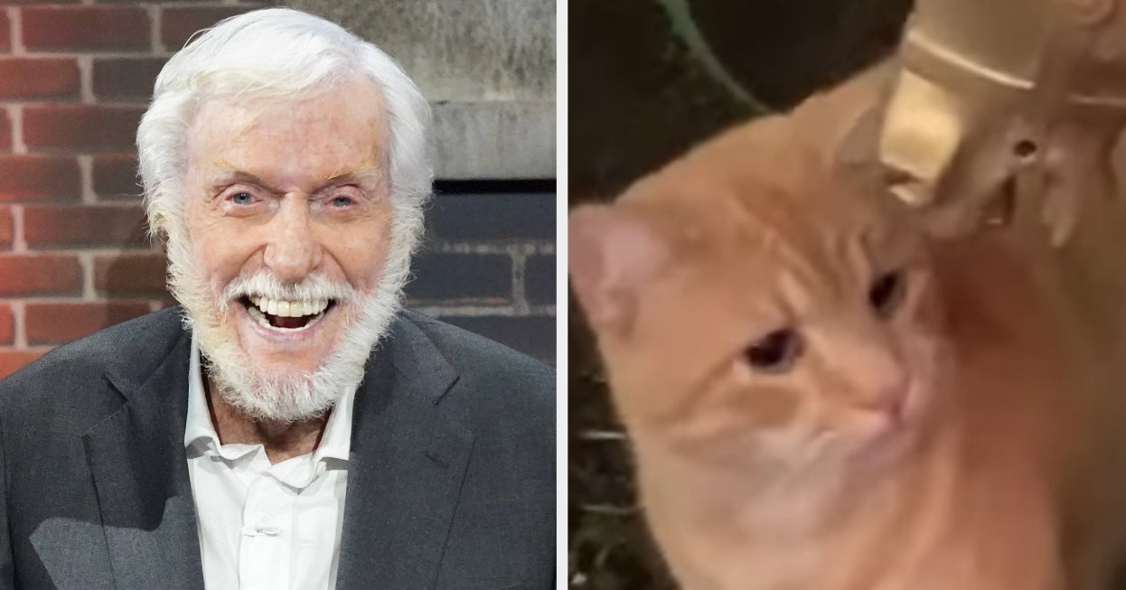 Dick Van Dyke’s Beloved Cat Bobo Has Been Found After He And His Wife Were Forced To Leave Him Behind Amid Malibu Wildfire Evacuations