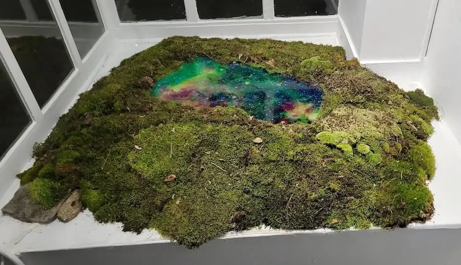 cosmic-pond-moss-2024