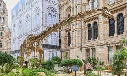 Natural History Museum’s gardens.