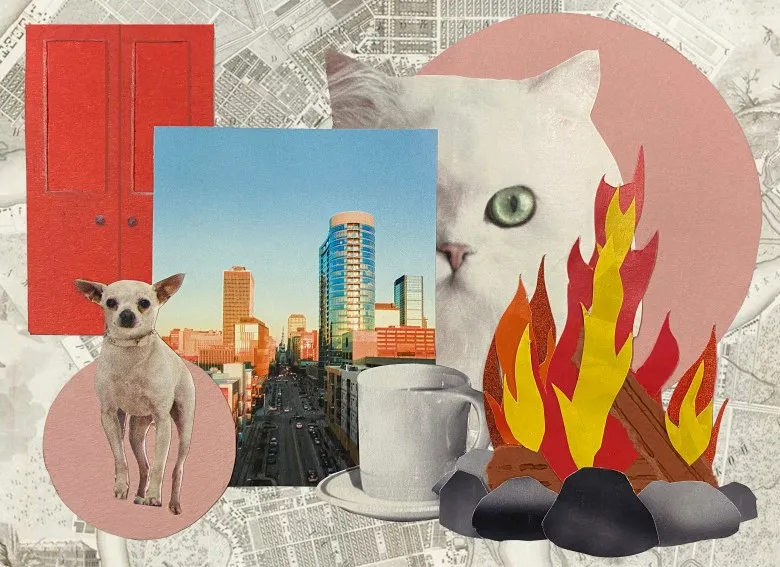 Collage that shows a red door, a Chihuahua dog, a cityscape, a cat, a cup of coffee and a bonfire.