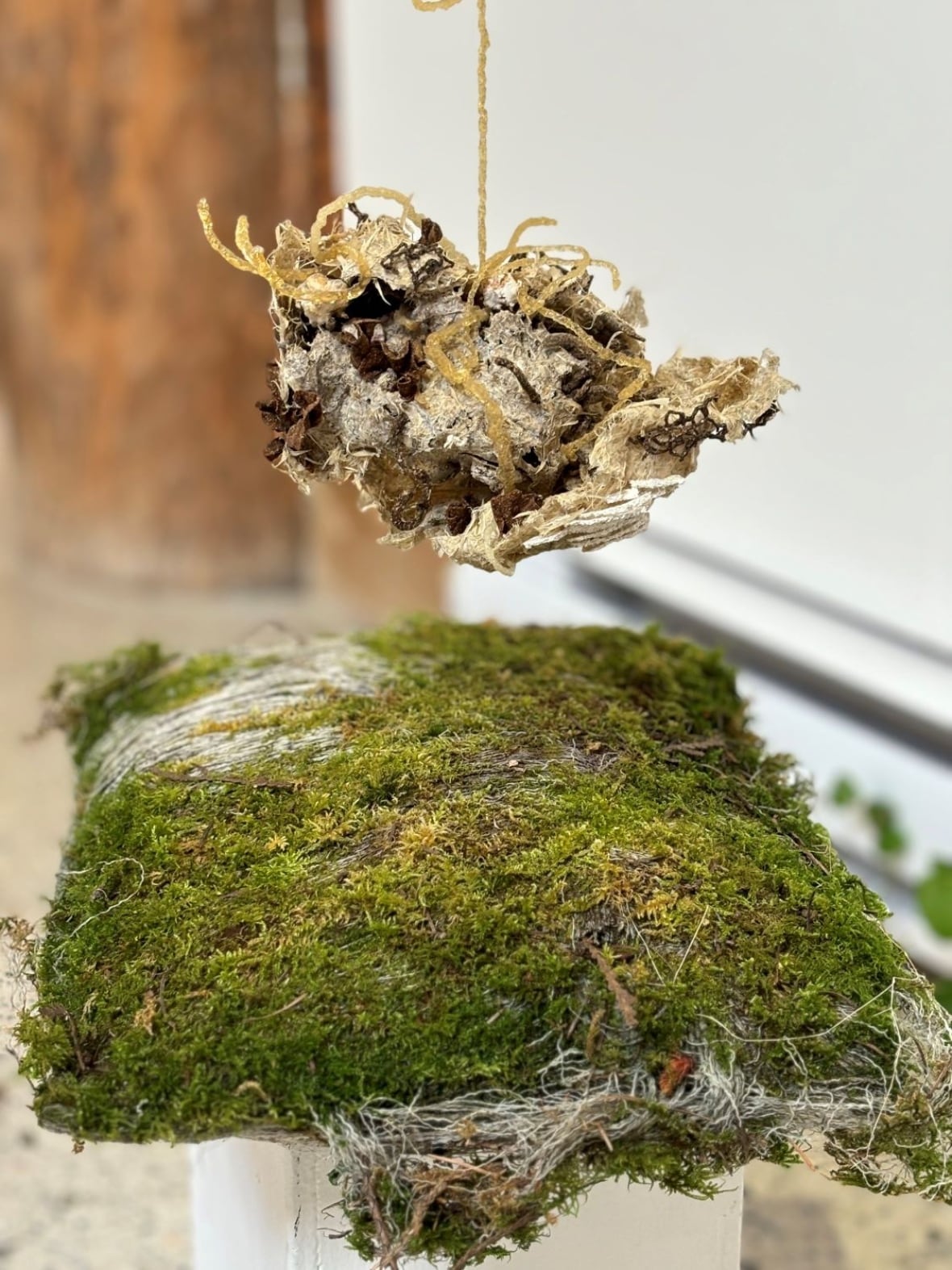 With gardens and garbage, artists are reimagining the life and death of their work