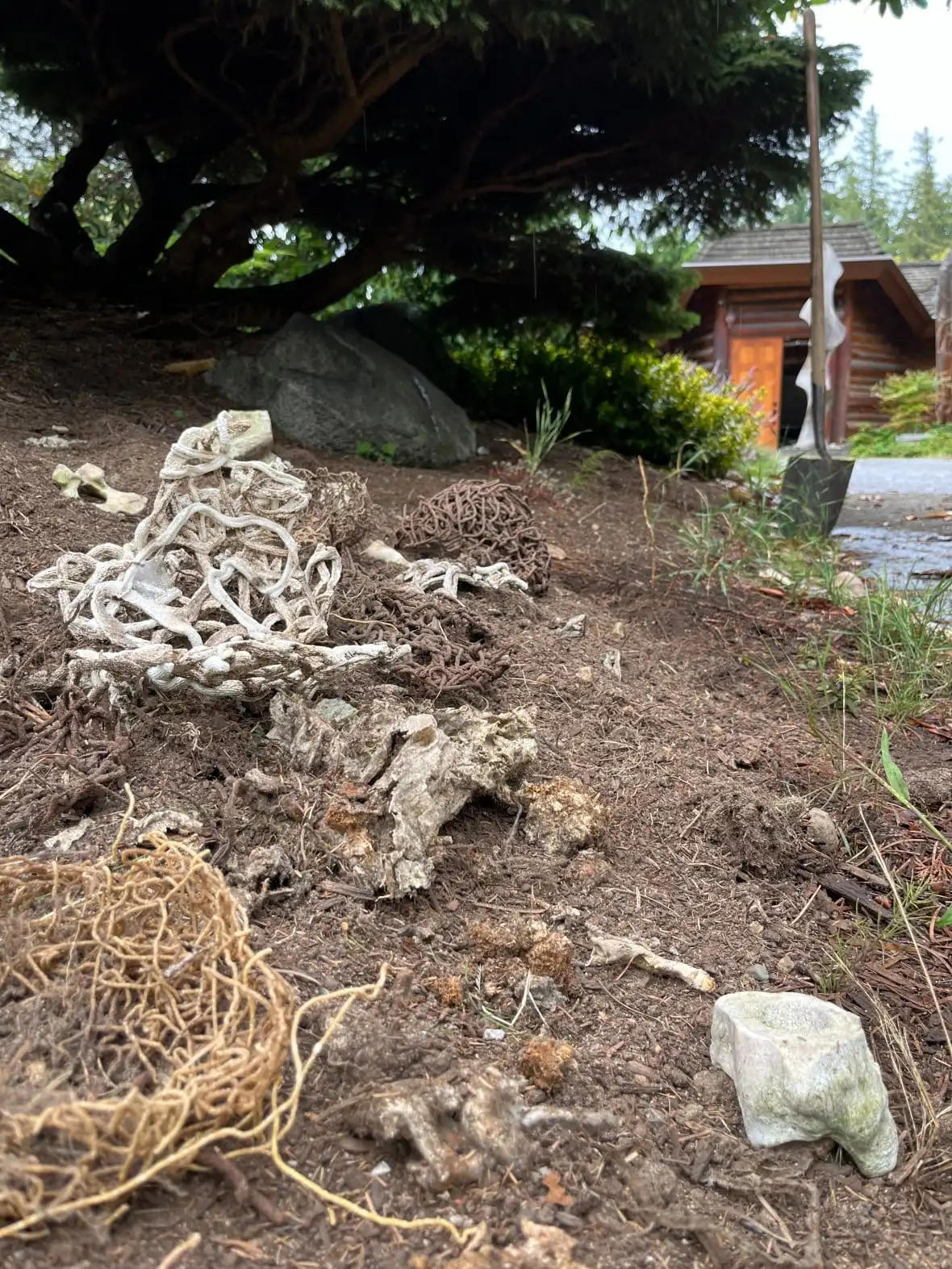 Tangled organic forms sit on the bare earth outside. A shovel stands nearby.