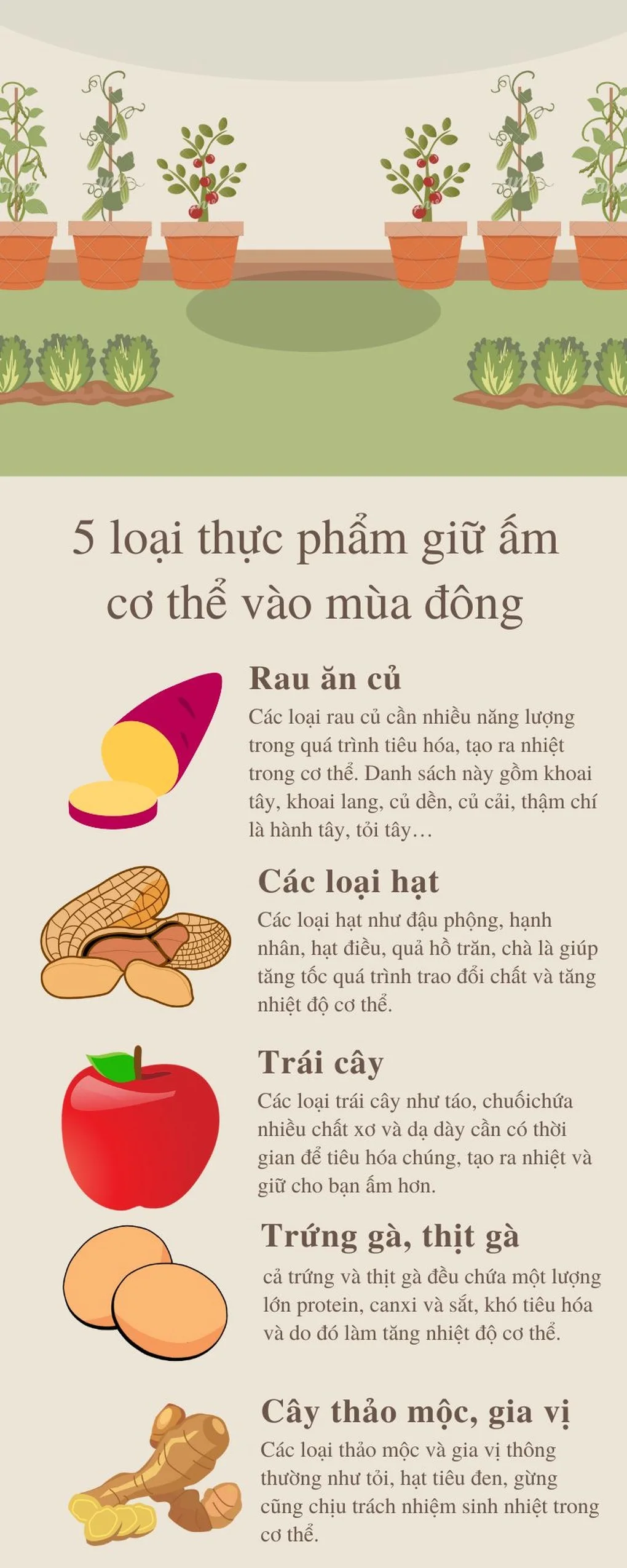 Trà gừng hay trà xanh: Loại nào tốt hơn trong mùa đông? - 3