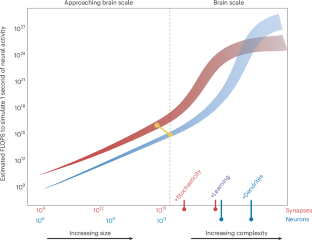 On the path toward brain-scale simulations