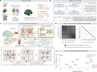 Simulation and assimilation of the digital human brain