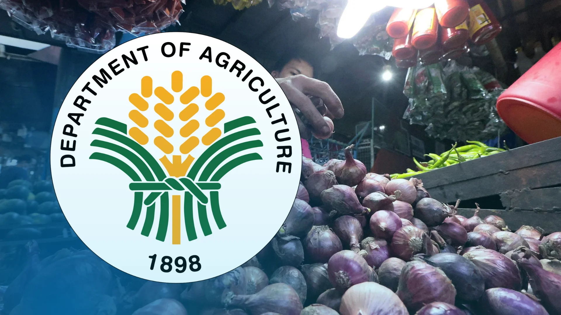 PHOTO: Composite of Department of Agriculture superimposed over read onions FOR STORY: The DA as a pillar of nutrition efforts